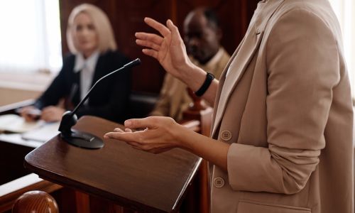 Testifying Expert Witness