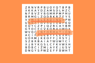 Misleading Information Word Search